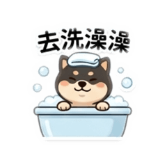 Dog Care about you