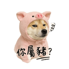 鬆餅專用