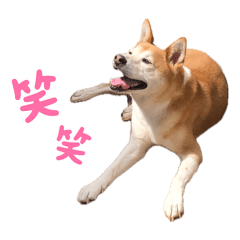 nana_20260511161847