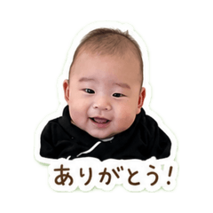 maki_20260511163959