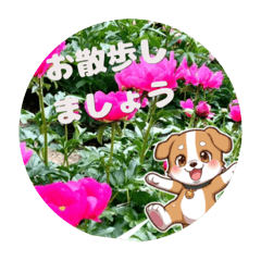 M_20260511163745