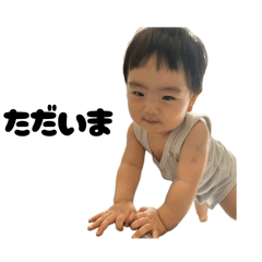 shinshin_20260511162200