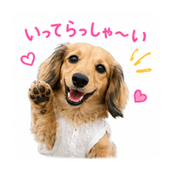 chanmugi_20260511162355