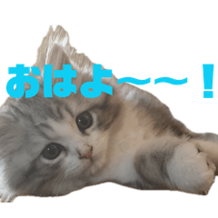 KOOOOOOTETSU