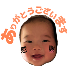 misa_20260511163638