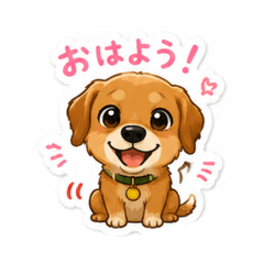 ki_20260511171659