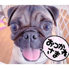 shota_20260511171352