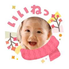 syo_20260511165348