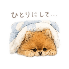 arare_20260511171904
