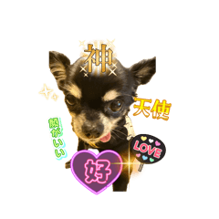 Tsugumi_20260511172420