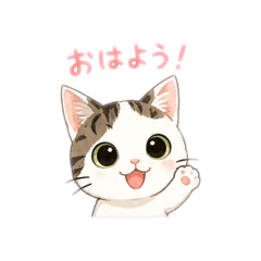 Miico_20260511175521