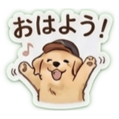 Koromo_20260511180032