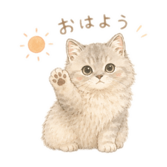 Coco_20260511180659