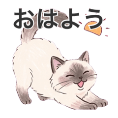 akizou_20260511181405