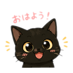 Miico_20260511181650