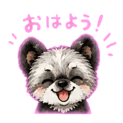celerychan_20260511182848