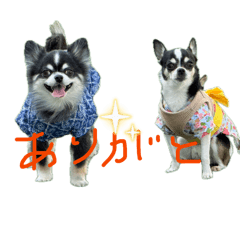 arohime_20260511183521