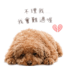 我這麼可愛！你怎麼忍心