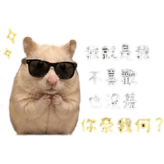 小布丁♡罵人篇