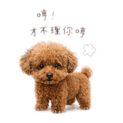 少惹我！我可是VIP