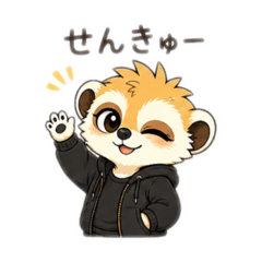 syo_20260501222028