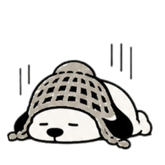 lowcap_20260502003236