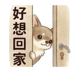 實用日常語錄！永久可用厭世吉娃娃