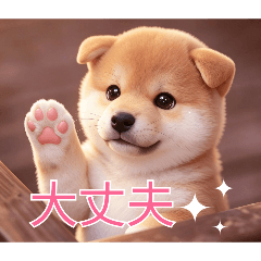 So So STAMP_20260502014808
