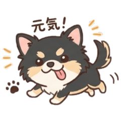 AtoR_20260511142030