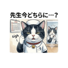 Cat Nurse's Daily Work Life