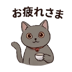 GrayBigCat_20260511154342