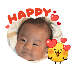 mamico_20260511223822