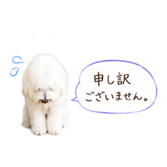 Smiley  momo_20260511224727