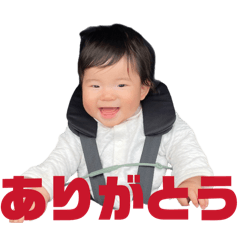masa_20260511224102