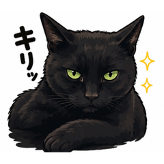 Kuro_20260511172216