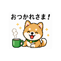 dot...dog!