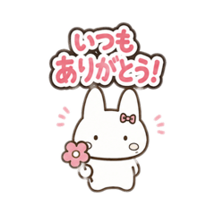 mami_20260511170838