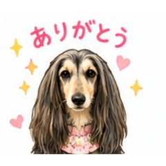 LIA_20260511172242
