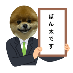 kota_20260511223909