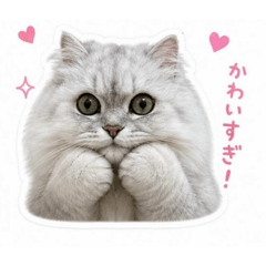 かわいすぎるピカちゃん♡