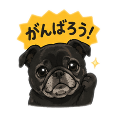 MK Stamp_20260511230651