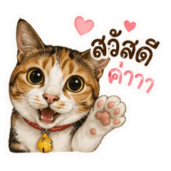 NONCARTOON_20260429103818