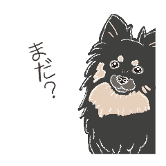 mametanuki_20260511231141
