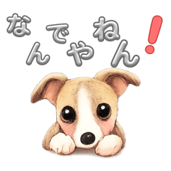 take_smile_20260511231613