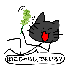 nokaki_20260511231206