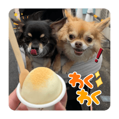 As_20260511231810