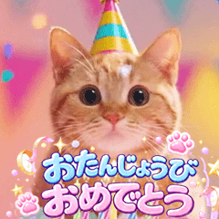 Happy Birthday!!catcatcat