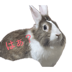 yurusan_20260511232738