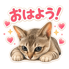 hiro_20260511232744