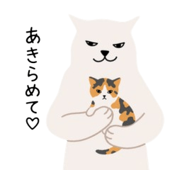 Cute White Cat with a Sharp Tongue